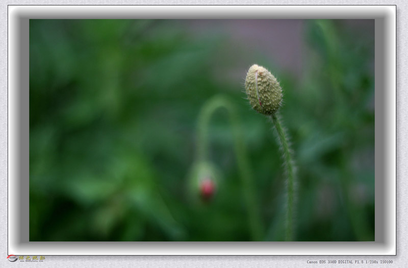 IMG_0069_���� - ����.jpg