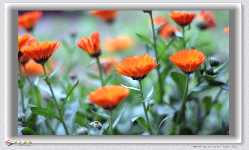 IMG_0071_���� - ����.jpg