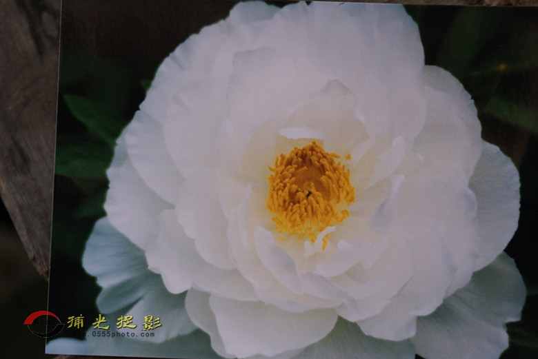 DSC00043_���� - ���� (2).jpg