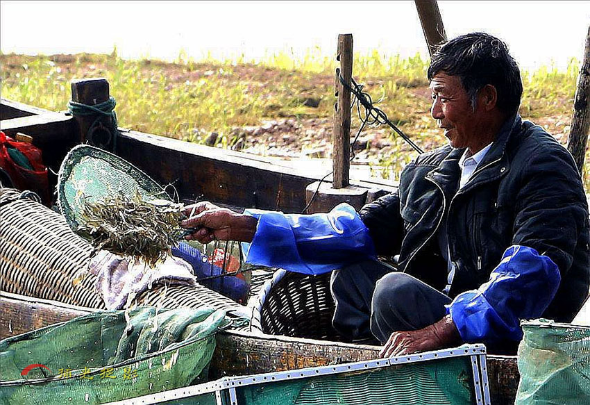 _Z4F7741 ������û�С�Ϻ��æ��.jpg