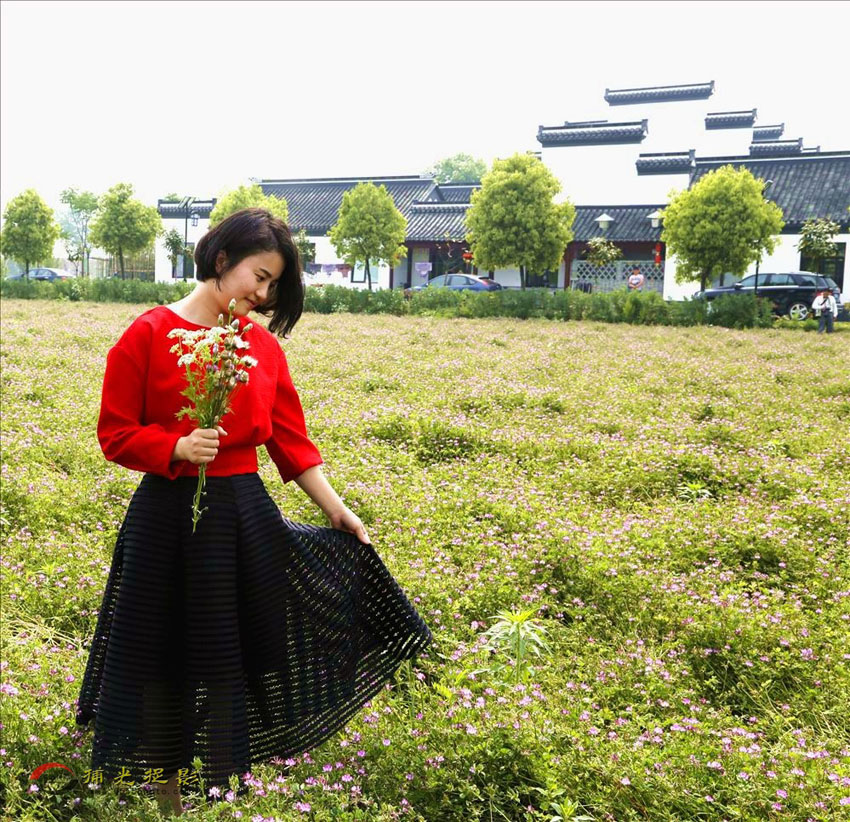 _Z4F8158 ������������˼��.jpg