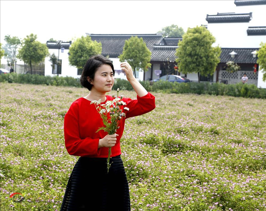 _Z4F8142 ���������ںδ�����.jpg