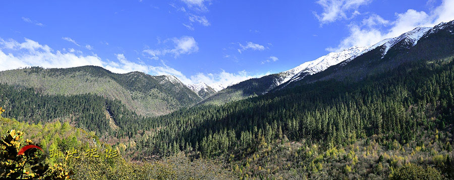 _D4A0224jp  ����.jpg