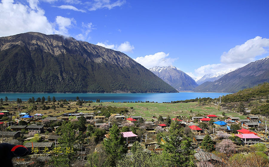 _D4A0229 - ����.jpg