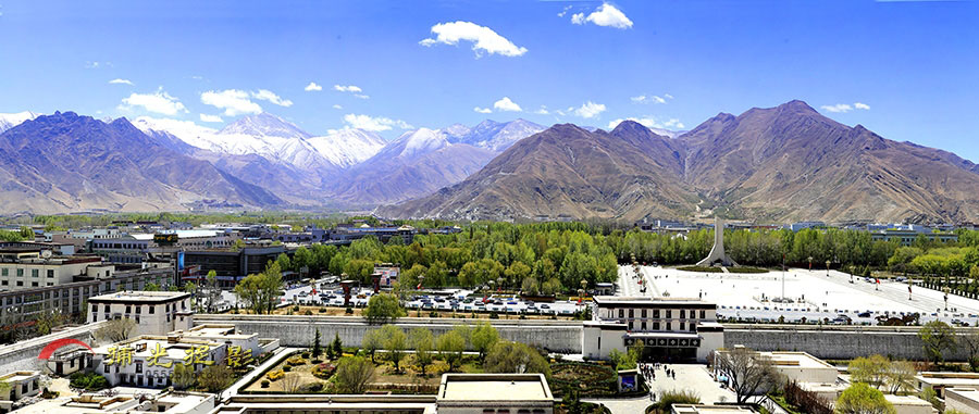 _D4A0081jp  ����.jpg