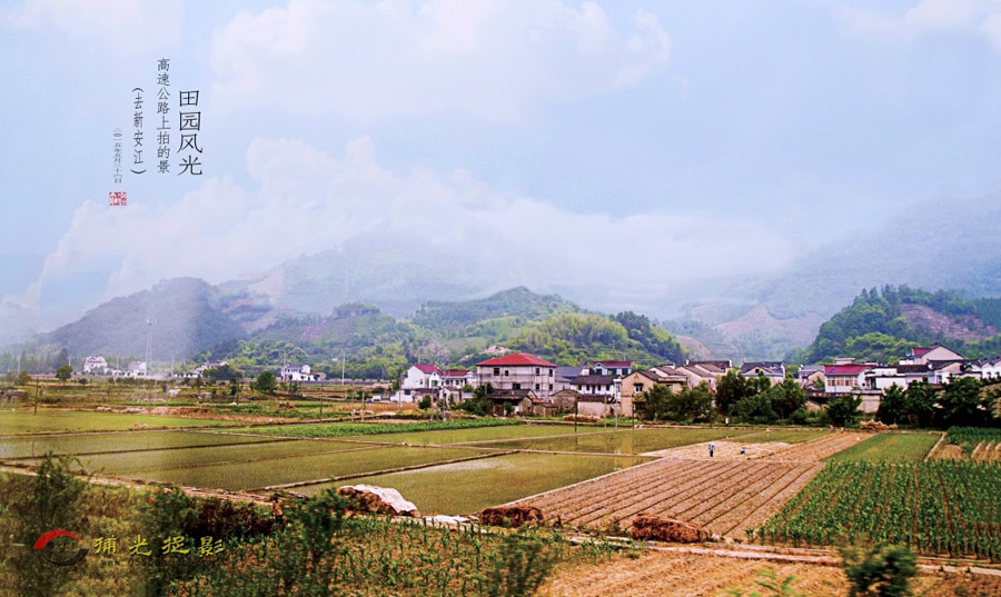 ���ٹ�·���ĵ���԰���