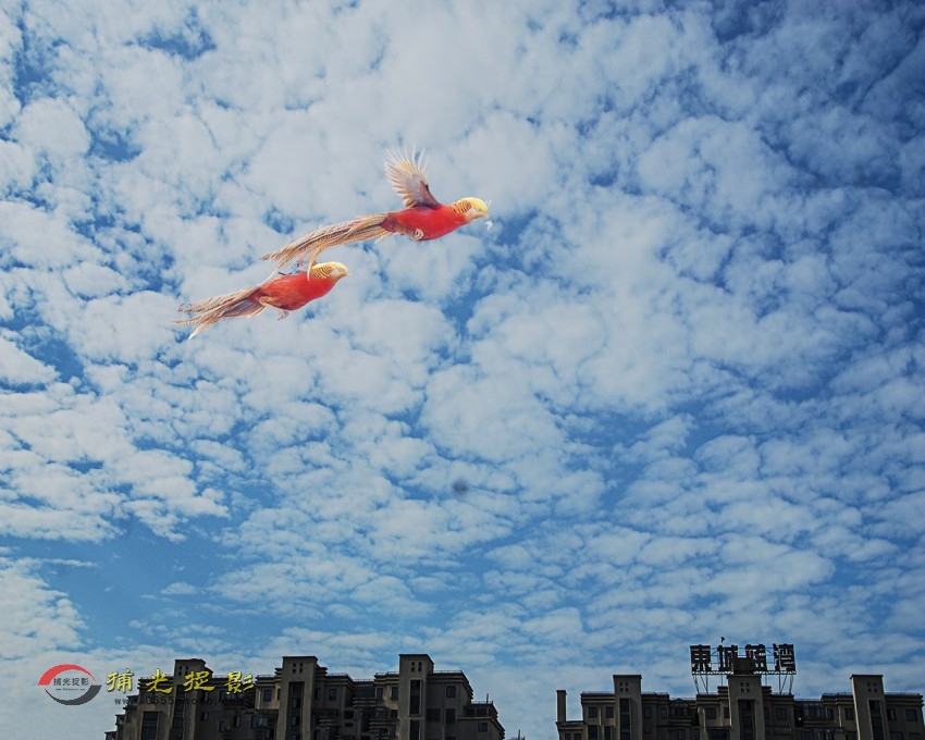 ��Ϳ��ճ�����Ȼ���ơ�(�����������ӵ�)