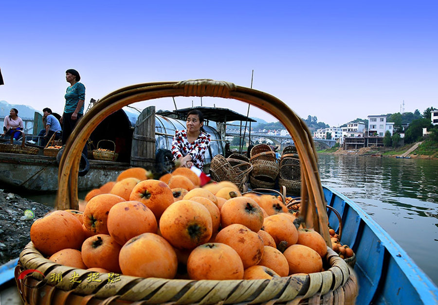 _D4A1815 ����.jpg