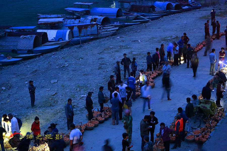 _D4A1831 - ����.JPG