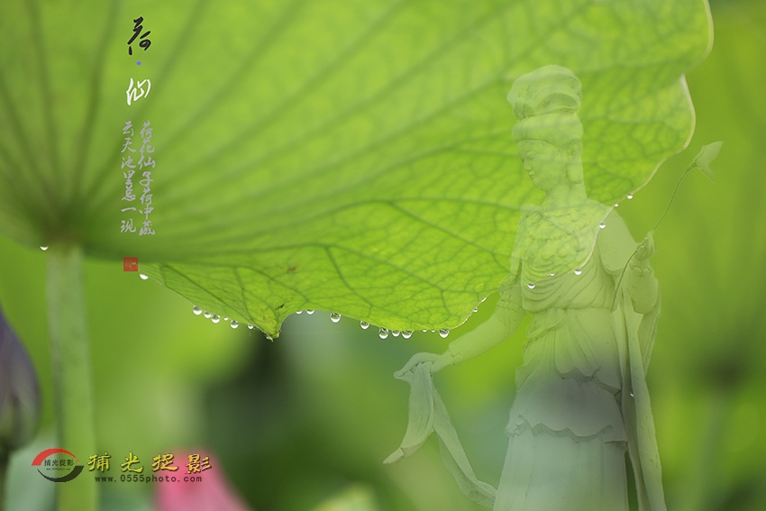 _D4A0160f  ����.jpg