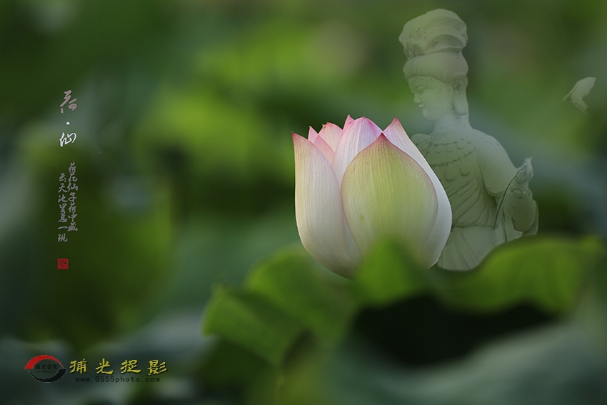 _D4A9899f ����.jpg