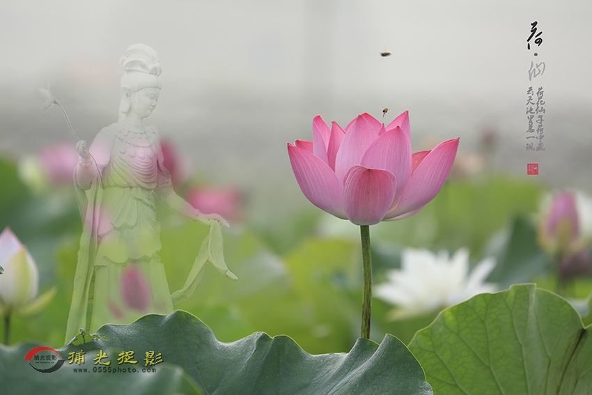 _D4A0148 f ����.jpg