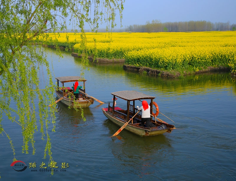 �˻�����