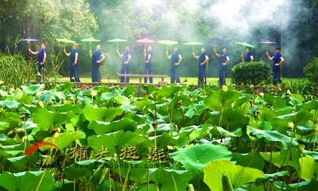 ��Ҷ��չ�����̣�