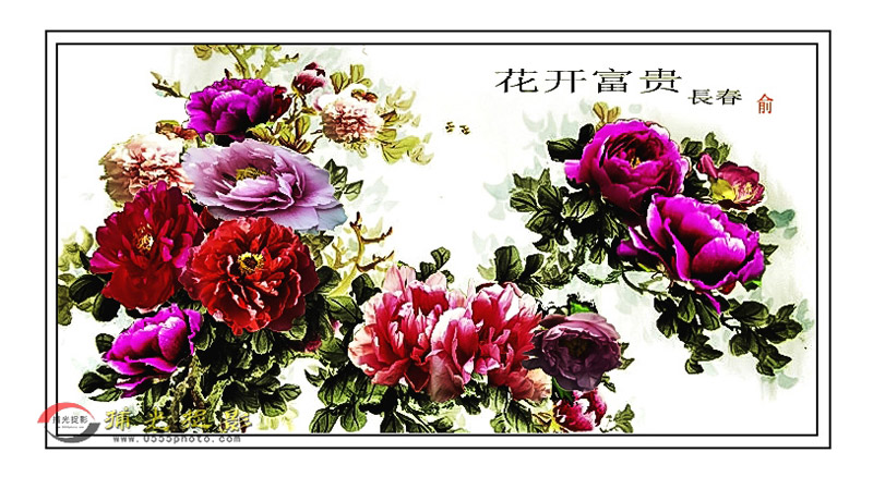 ����ĵ����