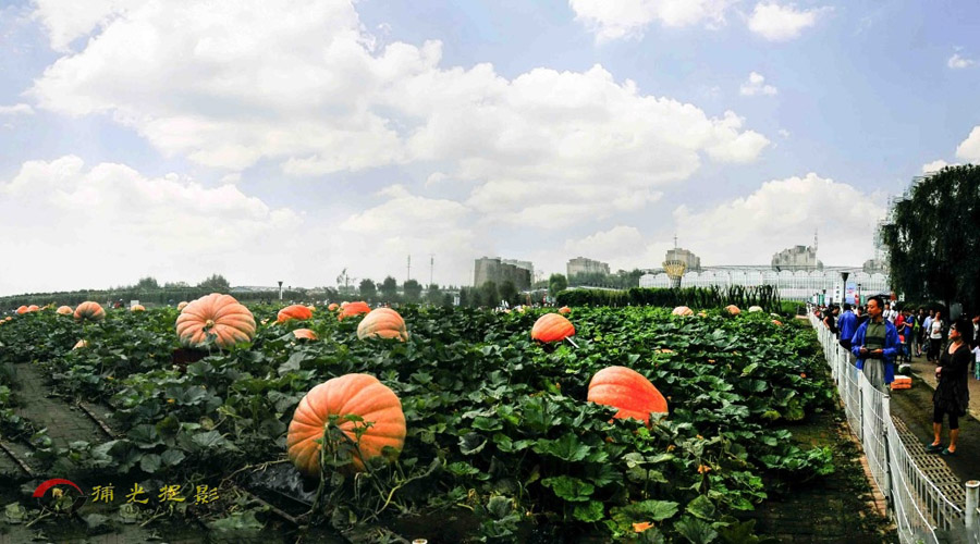 ��ô̫�Ϲϼ�����1000���