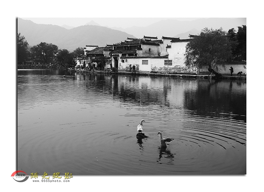 _D4A3562 ����.jpg