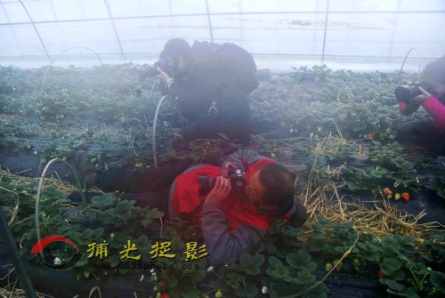 ������ԭƬ����ͷ�����ĵ��ҷ����Ǐ���ǿ��ȥ�������������У�