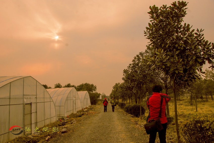 �����ֺ����_