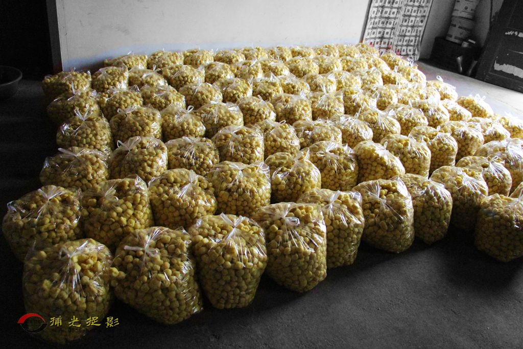 5����װ���� (1)_����_����.jpg