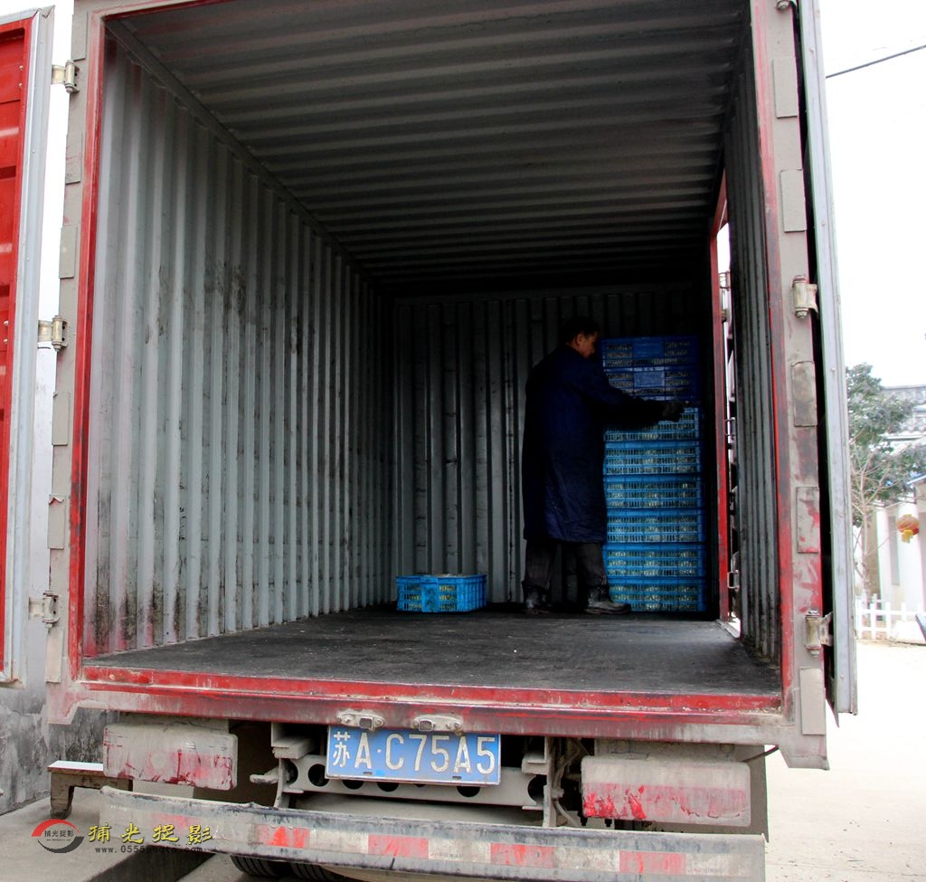 5����װ���� (4)_����.jpg