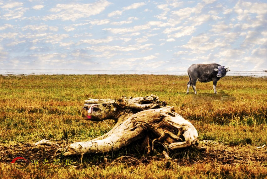 ������������