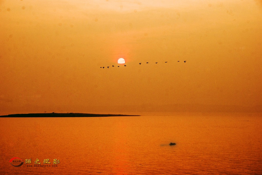 �����Ϸ�