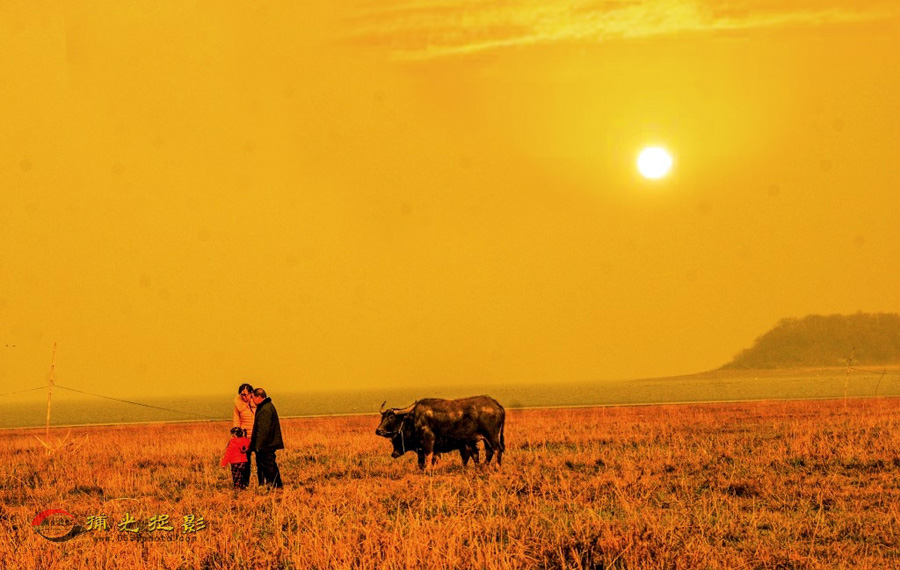 �����̯�����