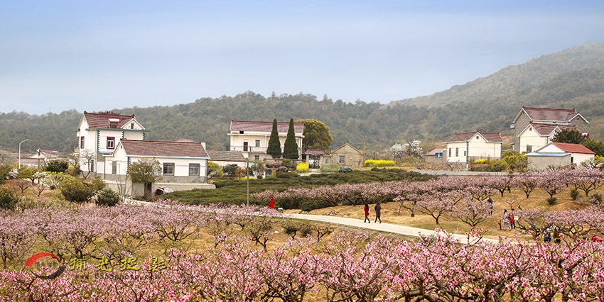 _D4A1275 jP����.jpg