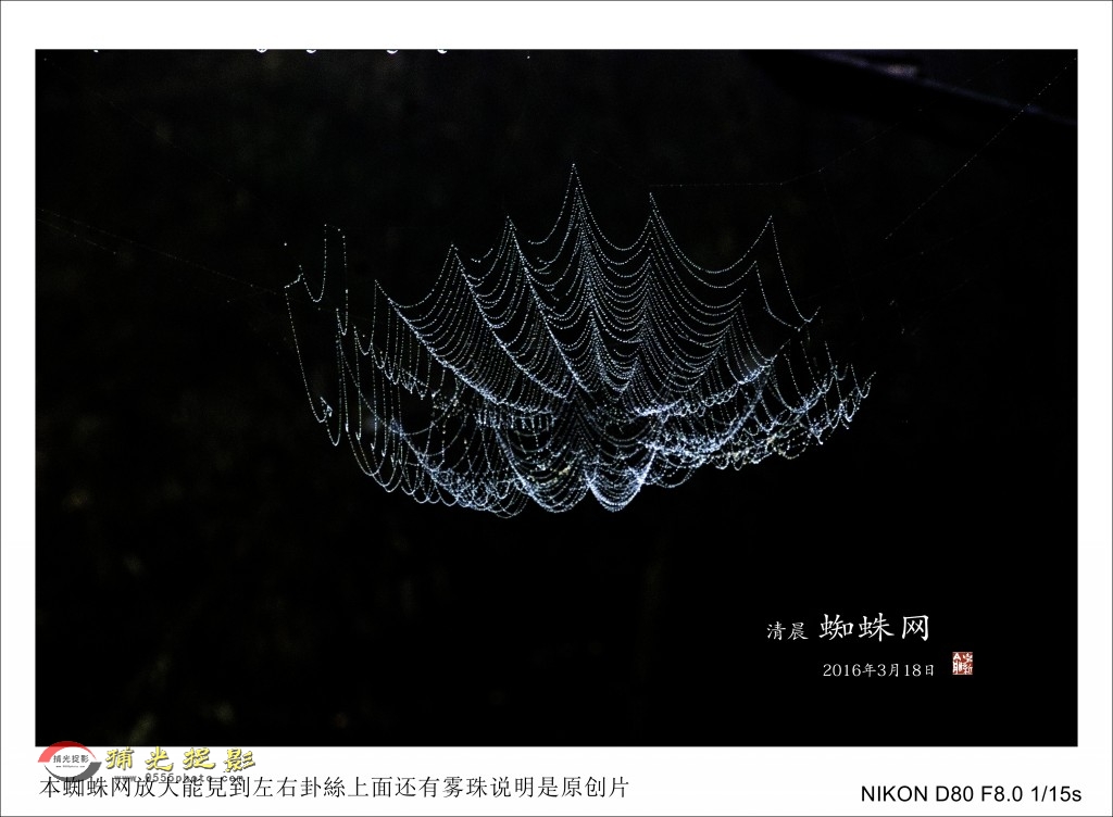 �峿֩����