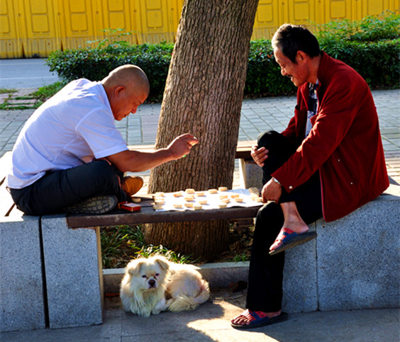 ��гϵ����Ƭ