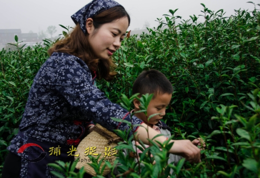 ������ѧ�ɲ�