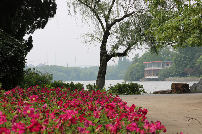 ����������һ��