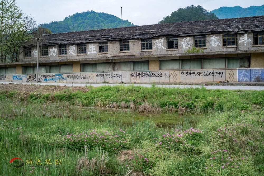 ����ֳ������ݣ� (10).jpg