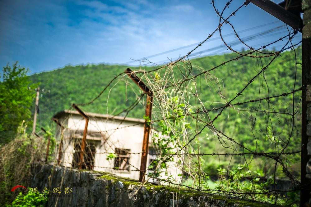 ����е�������ݣ� (1).jpg