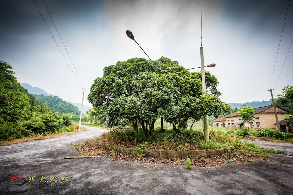 ���ǻ������������� (2).jpg