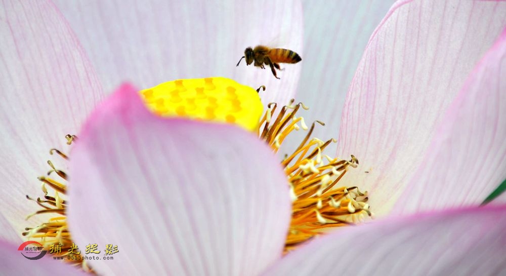 DSC_3535_���� (1).jpg