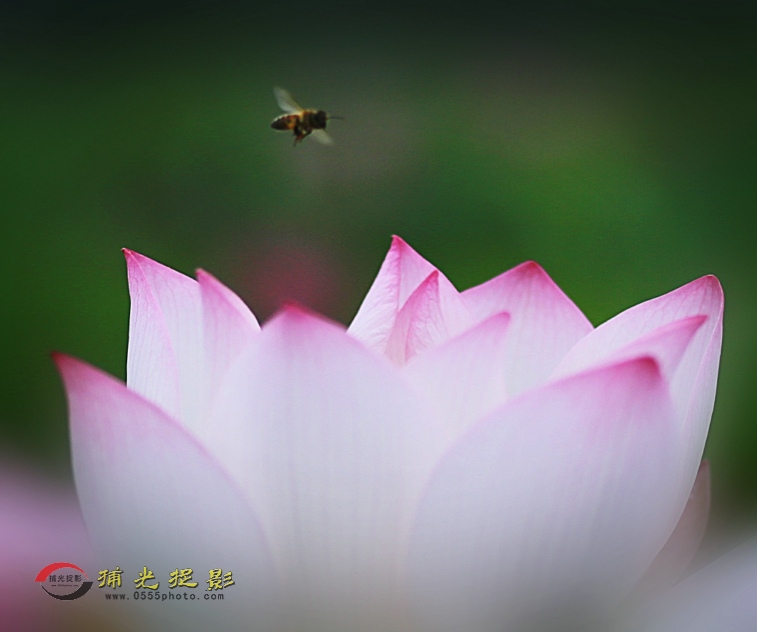 ���� IMG_9510.JPG