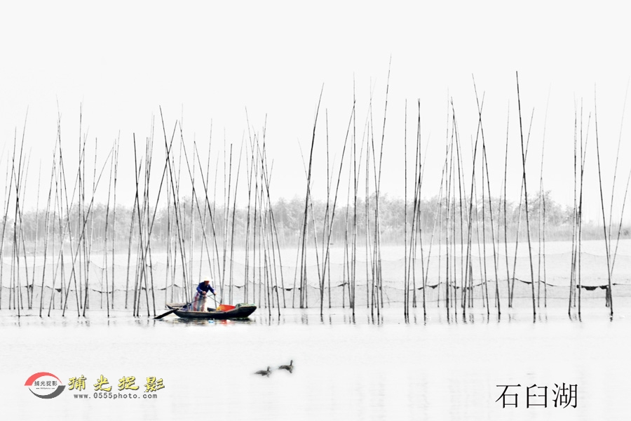 ֣�� ��ʯ�ʺ���1.JPG