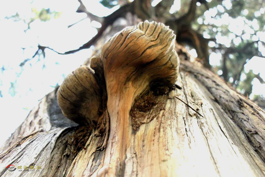 ��ǧ���ˣ����ˣ�