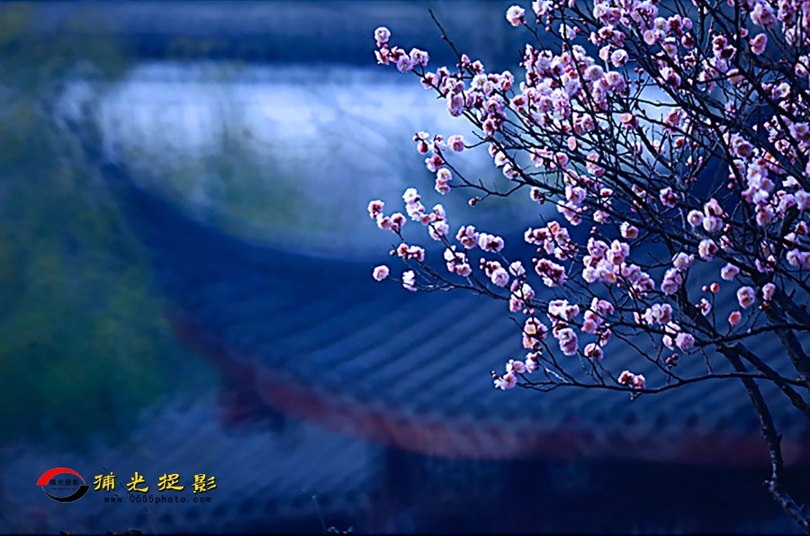 ³�� (�л���֤).jpg