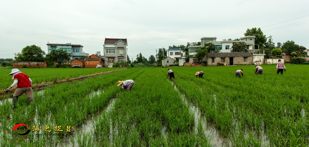 067ϣϼ18255568515 .jpg