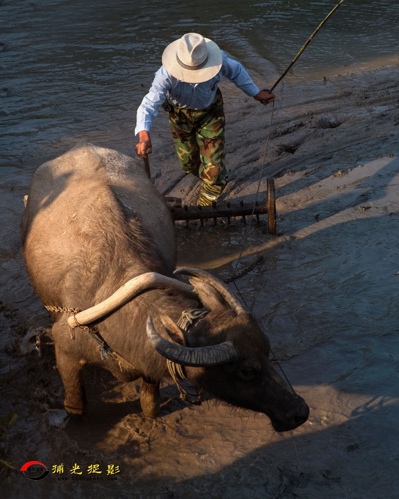 ³�� ��������.jpg