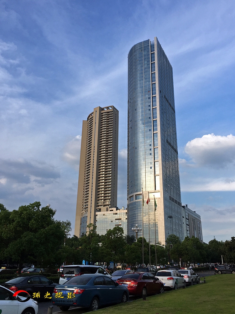 ��ӥ����