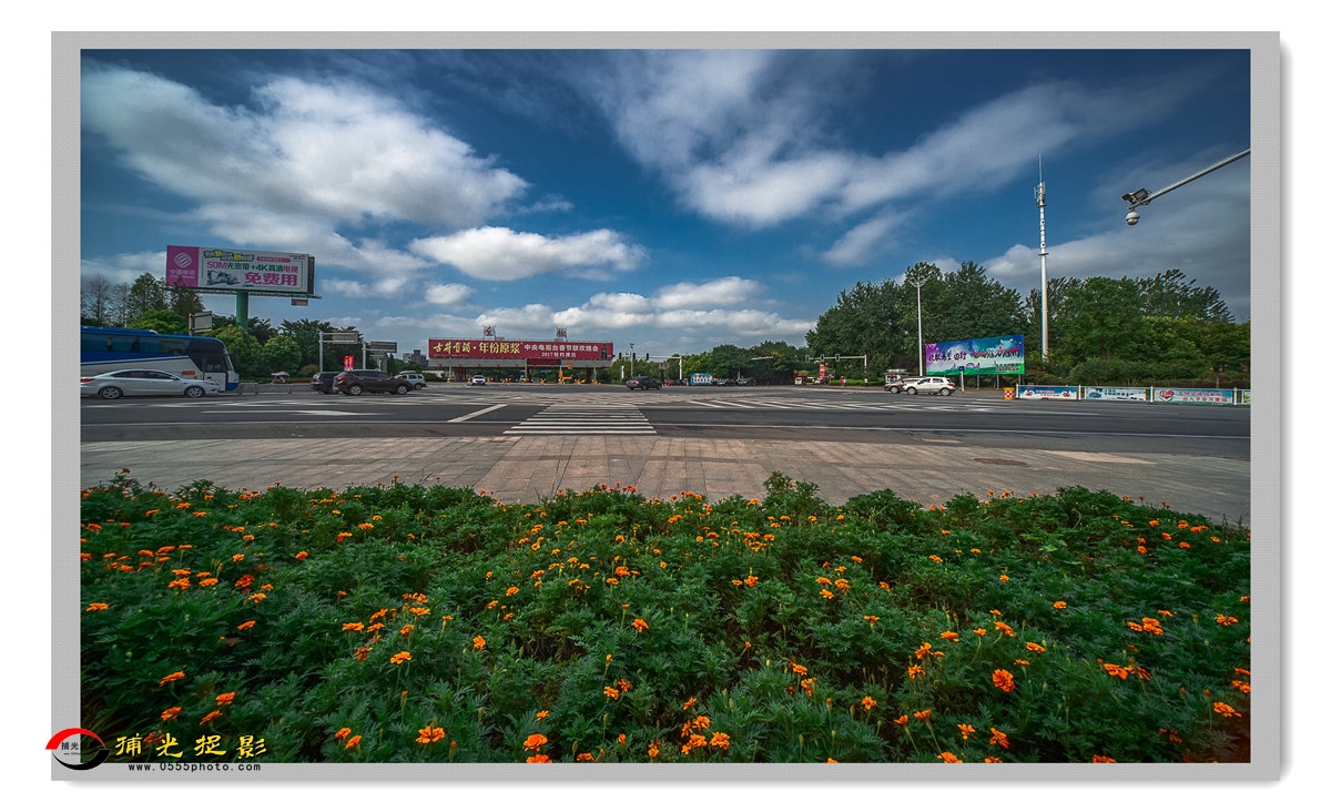 LMD_4017-1_���� - ����.jpg