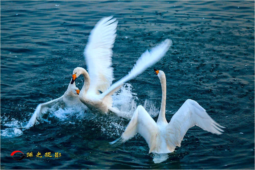 ����  ��Ӧ��.jpg