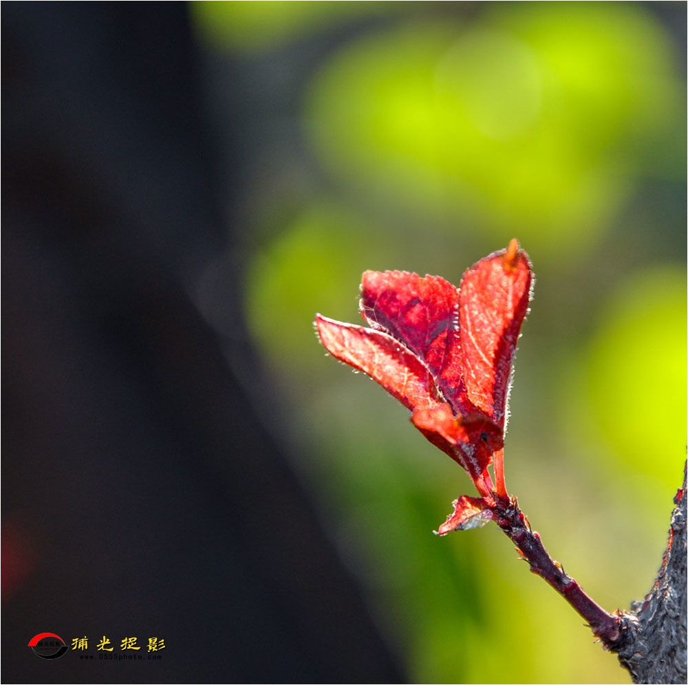 ���  ������.jpg