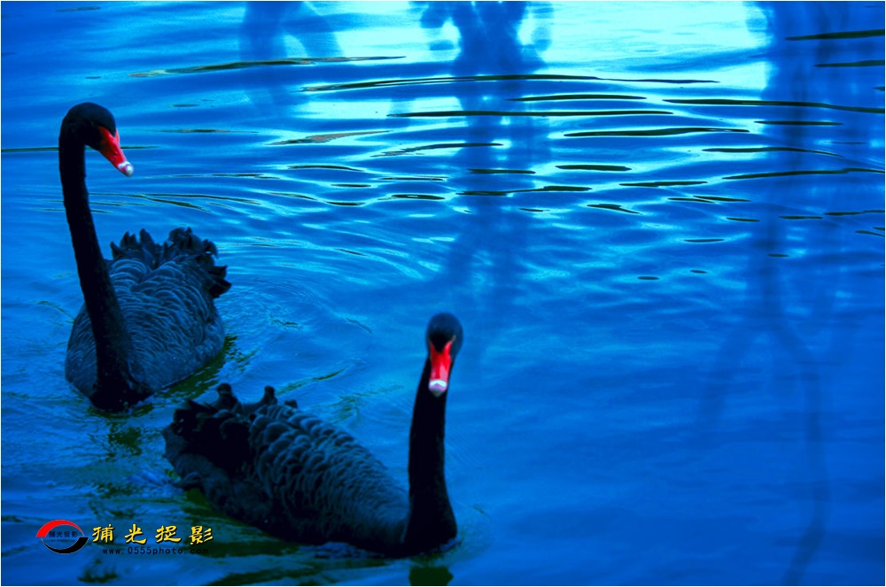 ��Ӱ����  �콨��.jpg