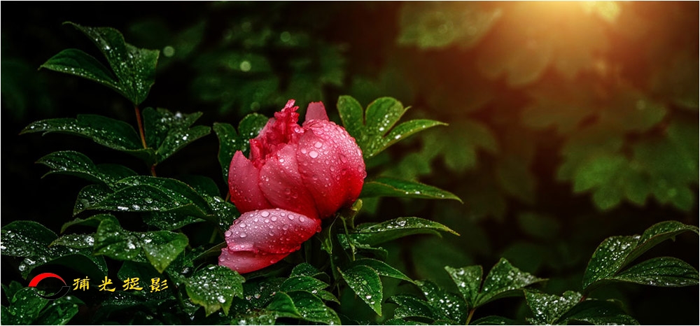 ӭ�����  ������.jpg