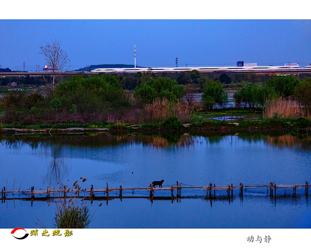 ���Ƚ� ��С����뾲��.jpg